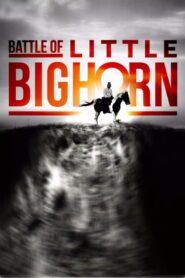 Battle of Little Bighorn