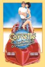 Corvette Summer