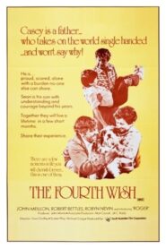 The Fourth Wish