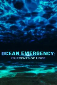 Ocean Emergency: Currents of Hope