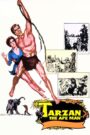 Tarzan, the Ape Man