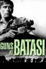 Guns at Batasi