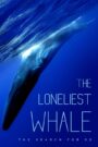 The Loneliest Whale: The Search for 52