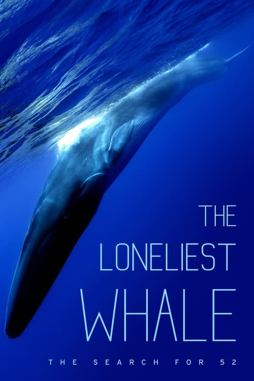 The Loneliest Whale: The Search for 52