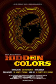 Hidden Colors