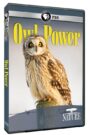 Owl Power