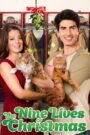 The Nine Lives of Christmas