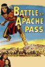 The Battle at Apache Pass