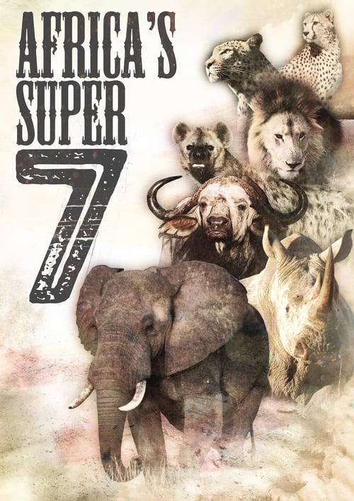 Africa’s Super Seven