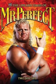 The Life and Times of Mr. Perfect