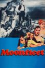 Moonfleet