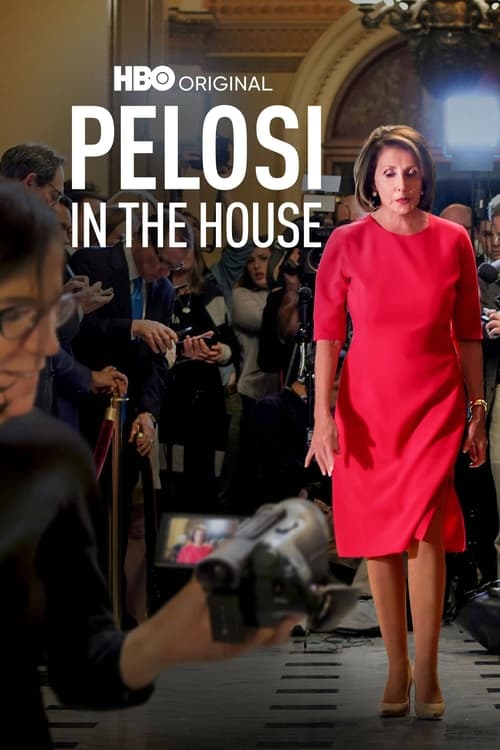 Pelosi in the House