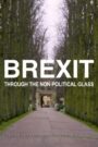 Brexit Through the Non-political Glass