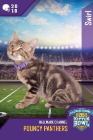 Kitten Bowl VIII Special