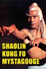 Shaolin Kung-Fu Mystagogue