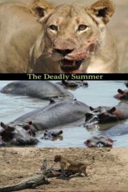 Deadly Summer