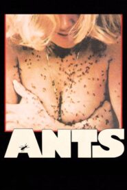 Ants!