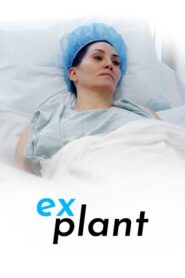 Explant