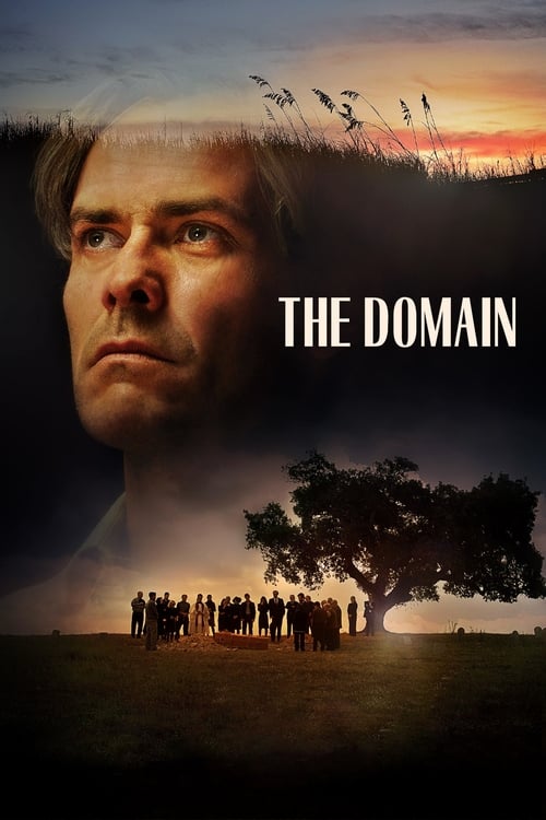 The Domain