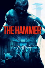 The Hammer