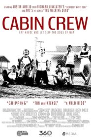 Cabin Crew