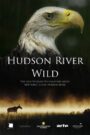 Hudson River Wild