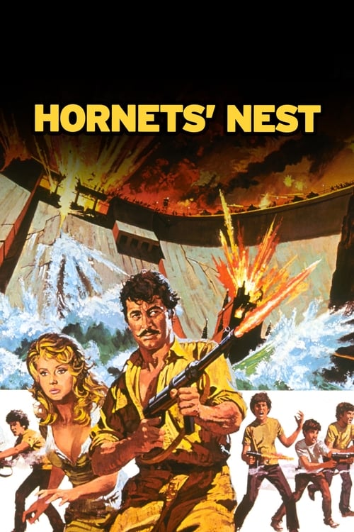 Hornets’ Nest