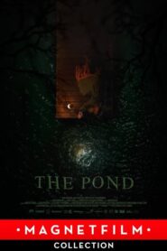 The Pond