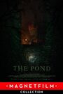 The Pond