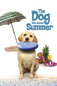 The Dog Who Saved Summer