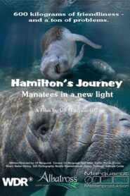 Hamilton’s Journey – Manatees in a New Light