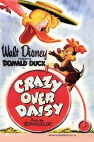 Crazy Over Daisy