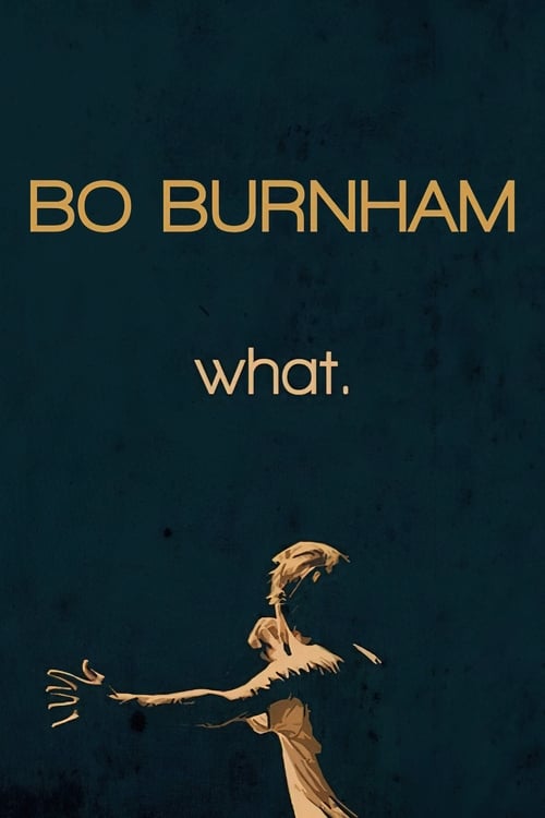 Bo Burnham: What.