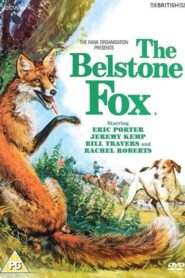 The Belstone Fox