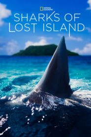 Sharks of Lost Island