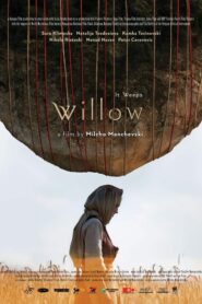 Willow