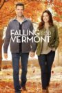 Falling for Vermont