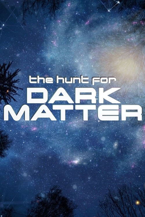 The Hunt for Dark Matter