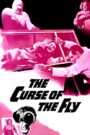 Curse of the Fly