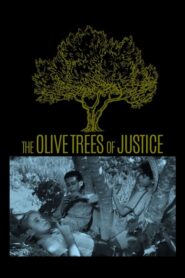 The Olive Trees of Justice