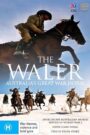 The Waler: Australia’s Great War Horse