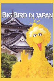 Big Bird in Japan