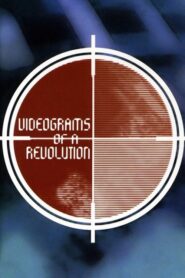 Videograms of a Revolution