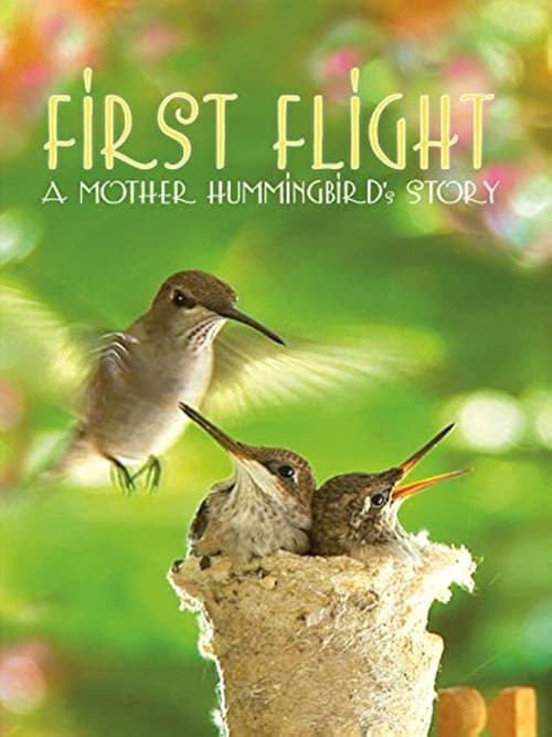 First Flight: A Mother Hummingbird’s Story