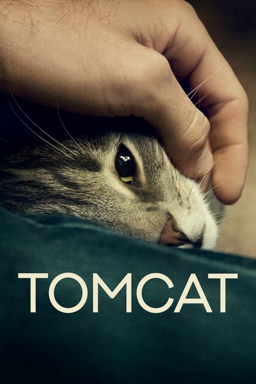 Tomcat