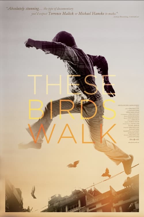 These Birds Walk