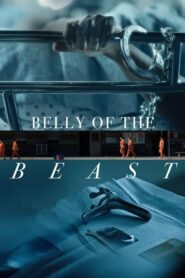 Belly of the Beast