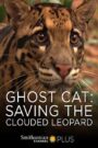 Ghost Cat: Saving the Clouded Leopard