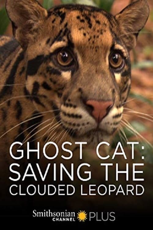 Ghost Cat: Saving the Clouded Leopard