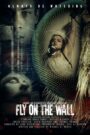 Fly on the Wall